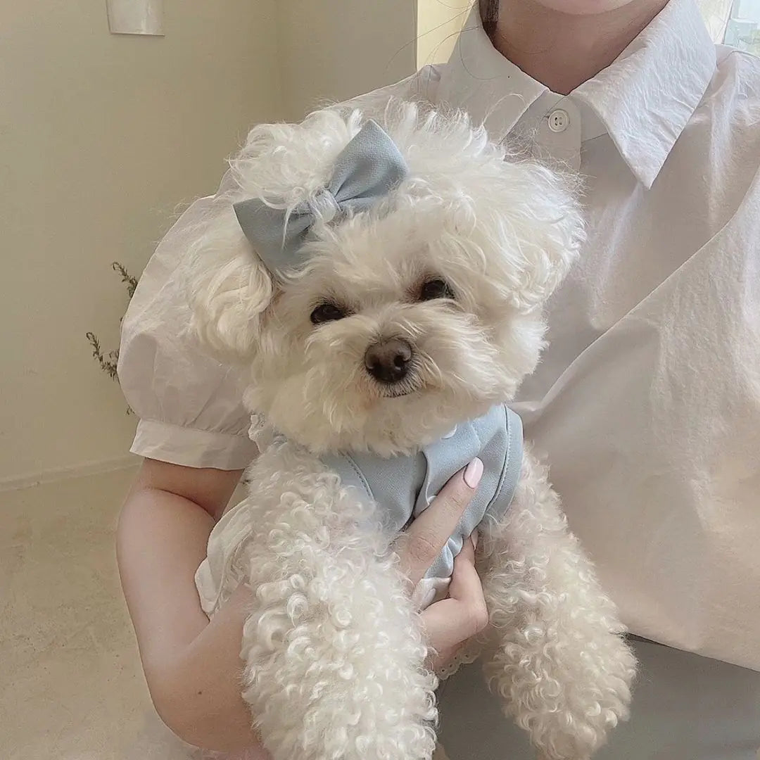 Lace Skirt for Dogs and Cats