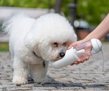 Portable Travel Water Bottle for Pets (Cats & Dogs)